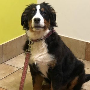 Meet your Posher, Karen